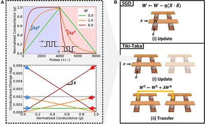 Impact of Asymmetric Weight Update on Neural Network Training With Tiki-Taka Algorithm